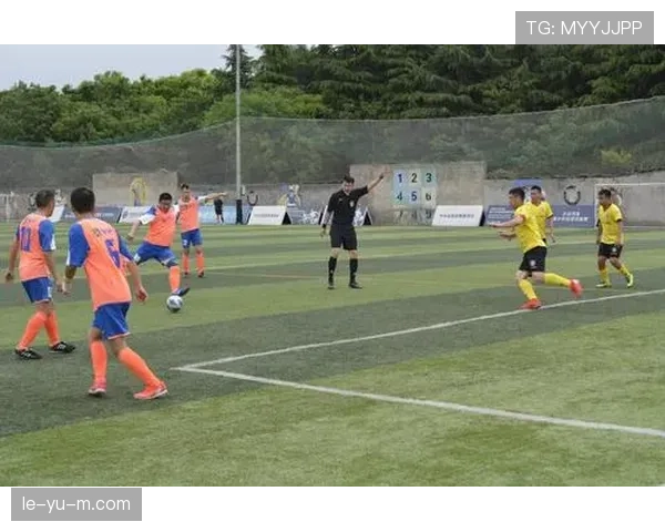 南非国家队成功主办杯赛，点燃全国足球热潮