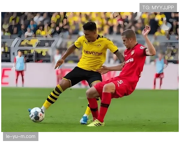 德甲中下游球队激战保级线，多队稳健表现力保安全区