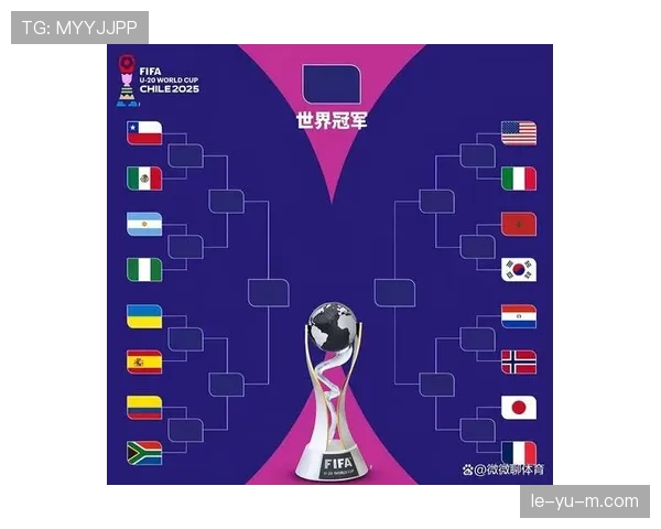 2026世界杯J组积分榜最新排名预测